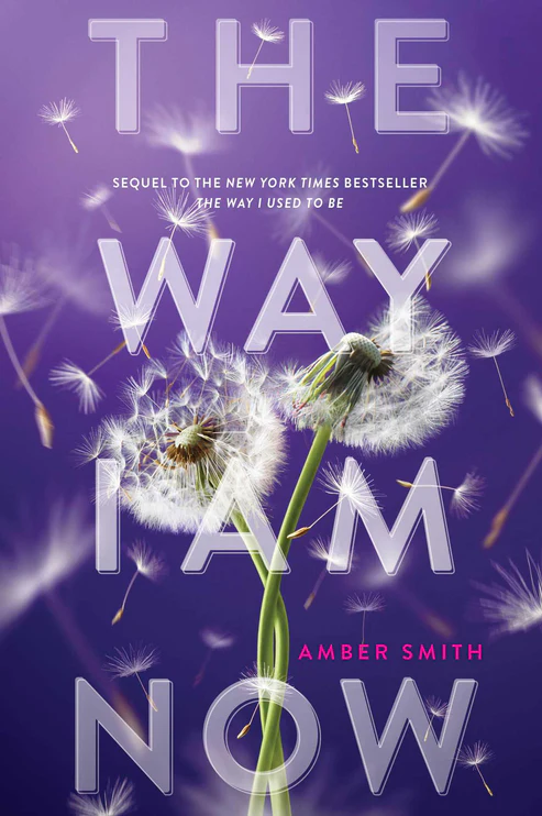 TheWayIAmNowBookbyAmberSmith The Way I Am Now Book by Amber Smith - Image 1