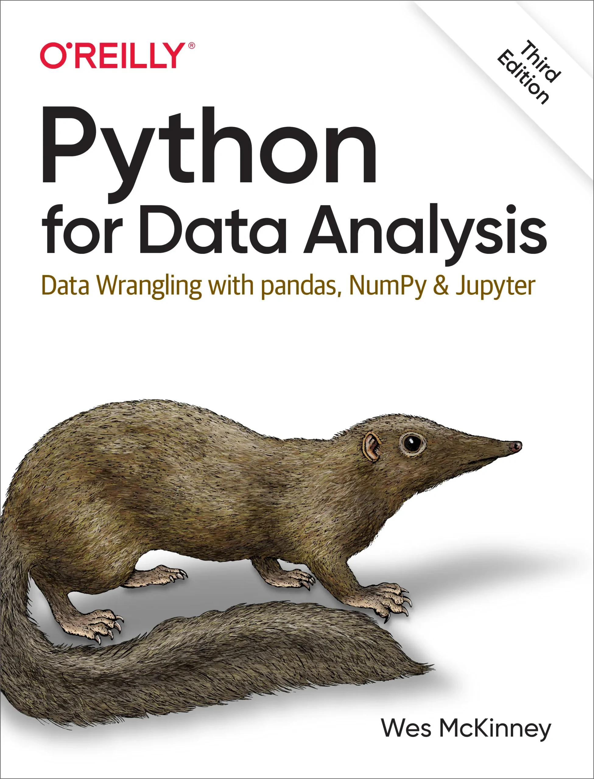 cover (2) Python for Data Analysis By Wes McKinney - Image 1